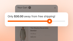 Free shipping goal